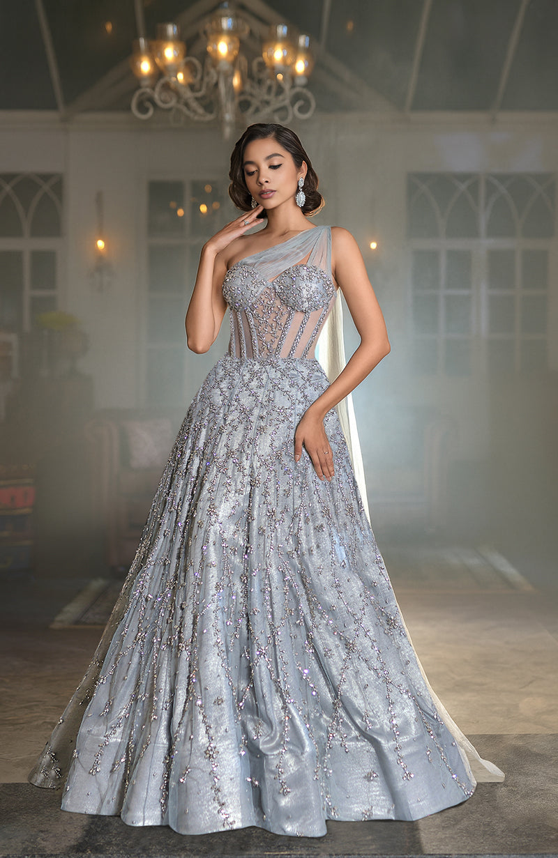 NAIRA-Silver Grey Crystal Hand Embroidered  Princess Gown