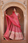Flirtation Scarlet Red Lehenga Set