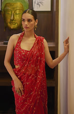 Scarlett Hand Embroidered Draped Saree Set