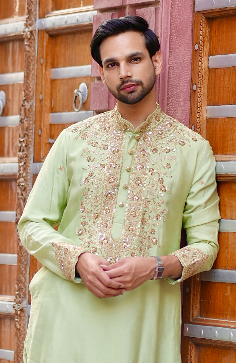 Pista Green Embroidered  Kurta Set