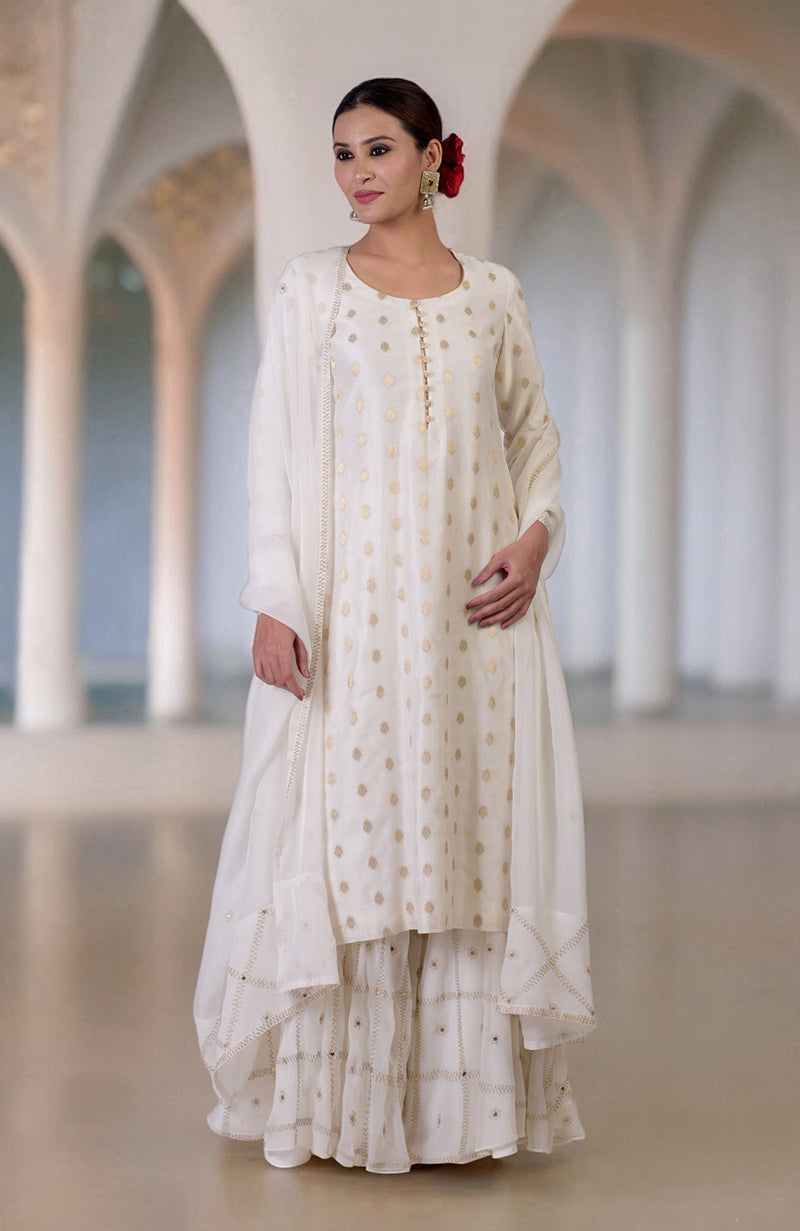 Elderberry Banarasi Bootah & Aari Tilla Embroidered Sharara Set