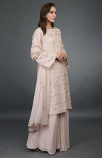 Nude Pink- Rose Gold Gota Patti Work Suit With Dupatta