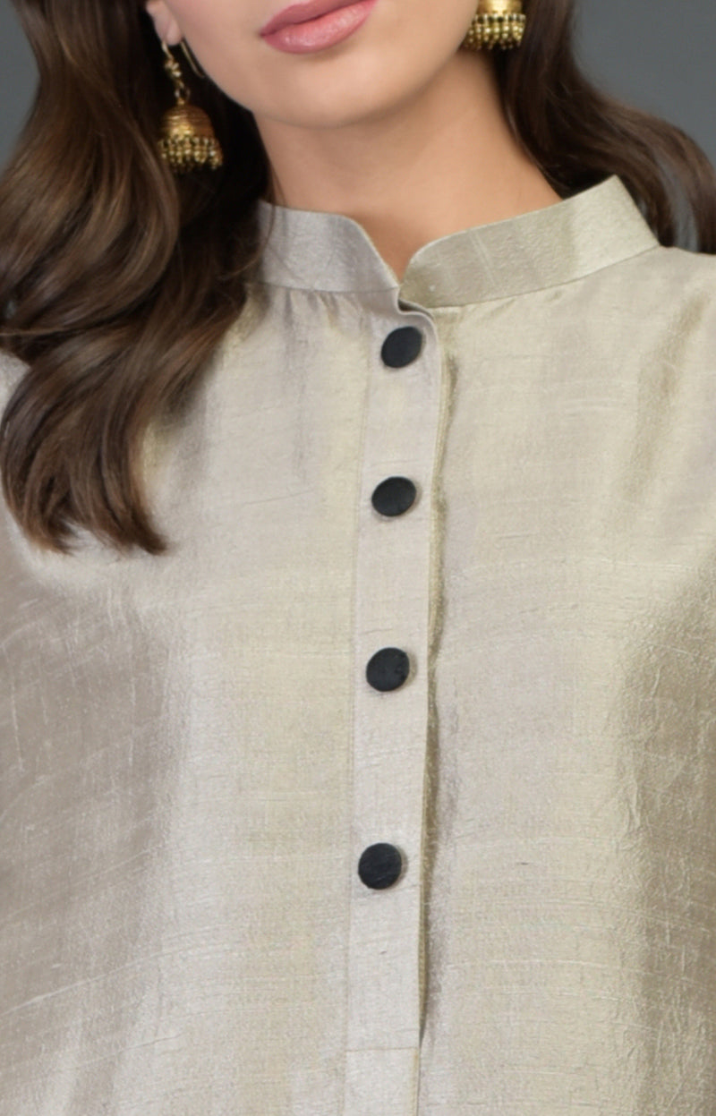 Beige Raw Silk/ Silk/ Crepe/ Georgette Suit