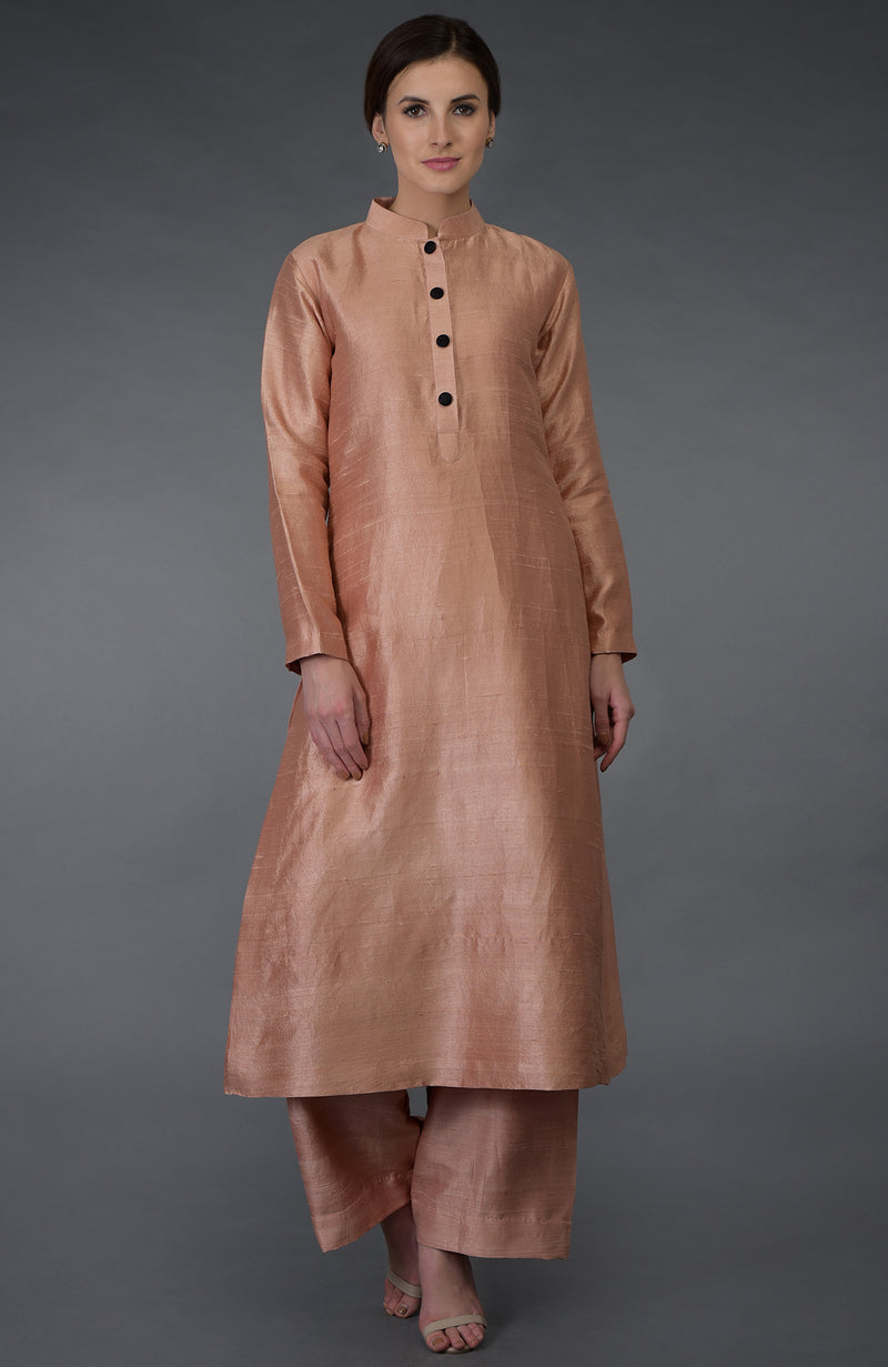 Beige Raw Silk/ Silk/ Crepe/ Georgette Suit