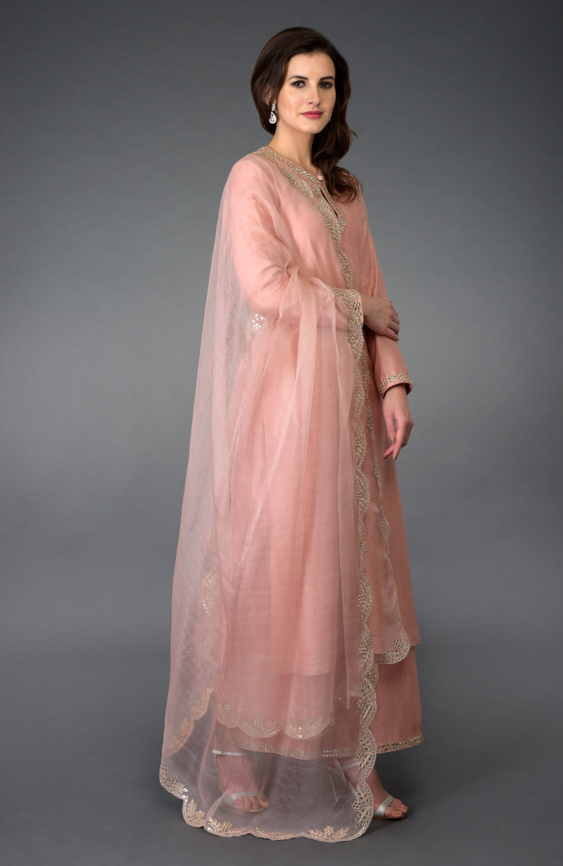 Pressed Rose Gota Patti and Mirror Work Farshi Palazzo Suit