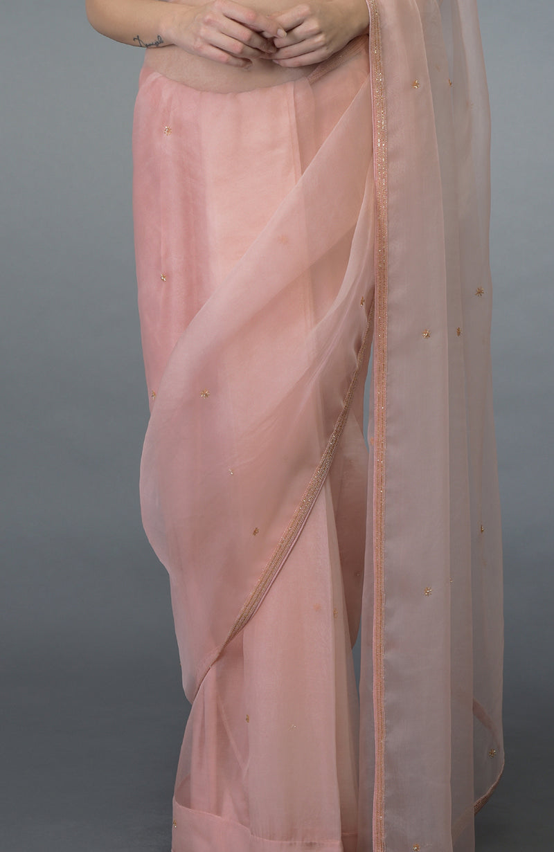 Pastel Peach Beads Hand Embroidered Saree & Blouse