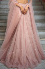 Blush Pink Embroidered Lehenga Set