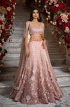 Blush Pink Embroidered Lehenga Set