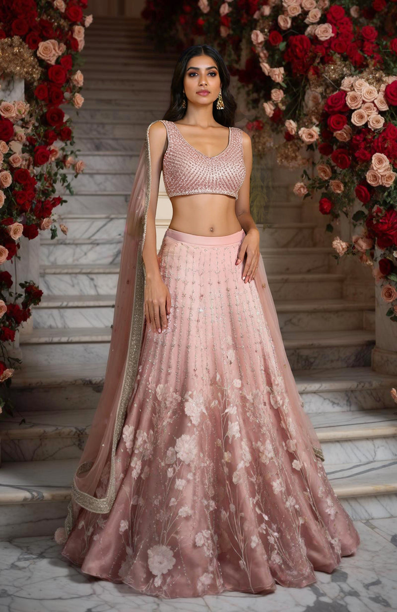Blush Pink Embroidered Lehenga Set