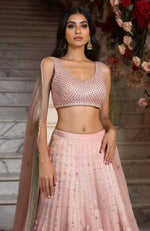 Blush Pink Embroidered Lehenga Set