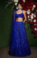 Midnight Sapphire Sequin Embroidered Lehenga Set