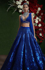 Royal Sapphire Sequin & Beads Embroidered Lehenga Set