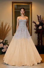 NAIRA- Ivory Crystal & Pearl Beads Hand Embroidered Princess Gown