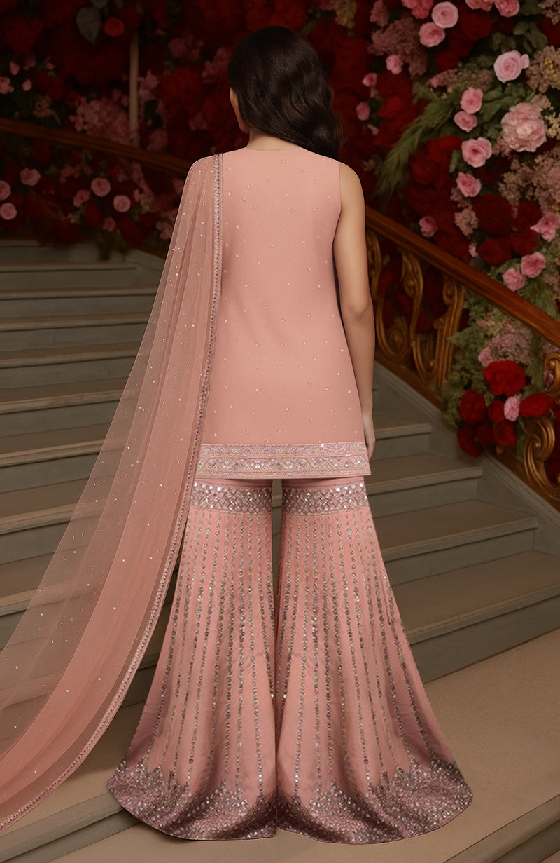 Blush Pink  Embroidered Gharara Set