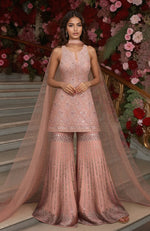 Blush Pink  Embroidered Gharara Set