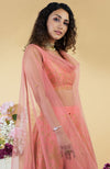 Peach Echo Kashmiri Chinar Tilla Embroidered Lehenga Set