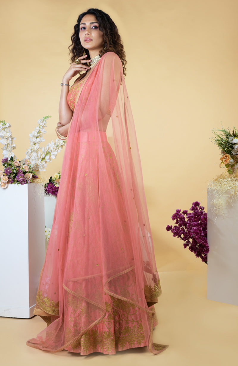 Peach Echo Kashmiri Chinar Tilla Embroidered Lehenga Set