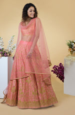 Peach Echo Kashmiri Chinar Tilla Embroidered Lehenga Set