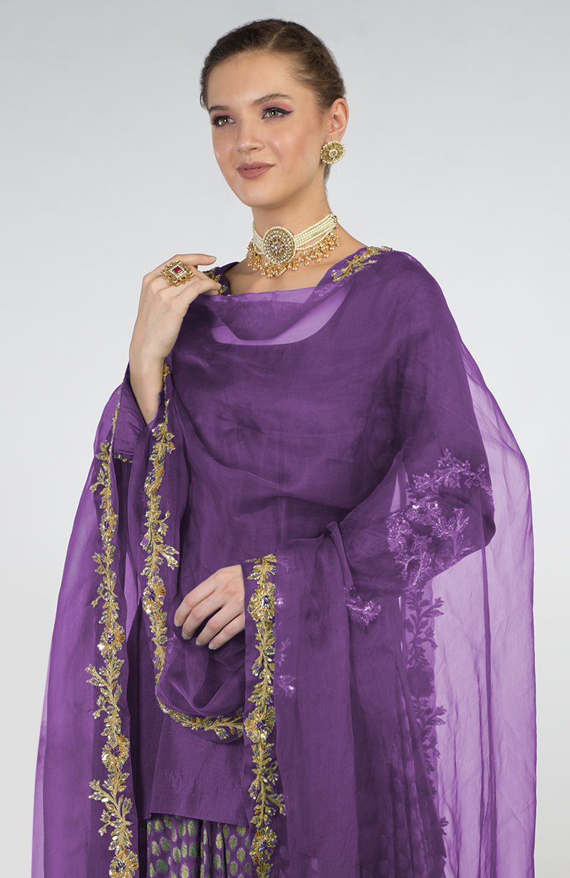 Amethyst Banarasi Zardozi Kalidaar Skirt Set