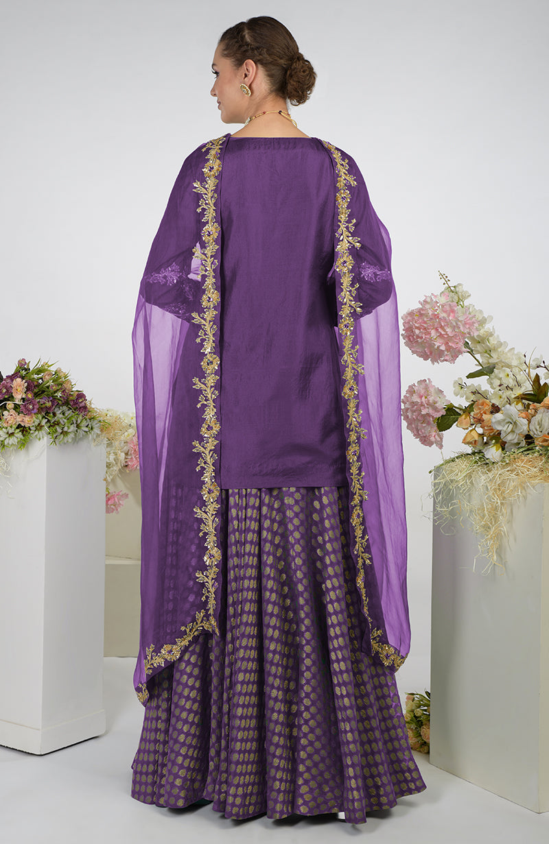 Amethyst Banarasi Zardozi Kalidaar Skirt Set
