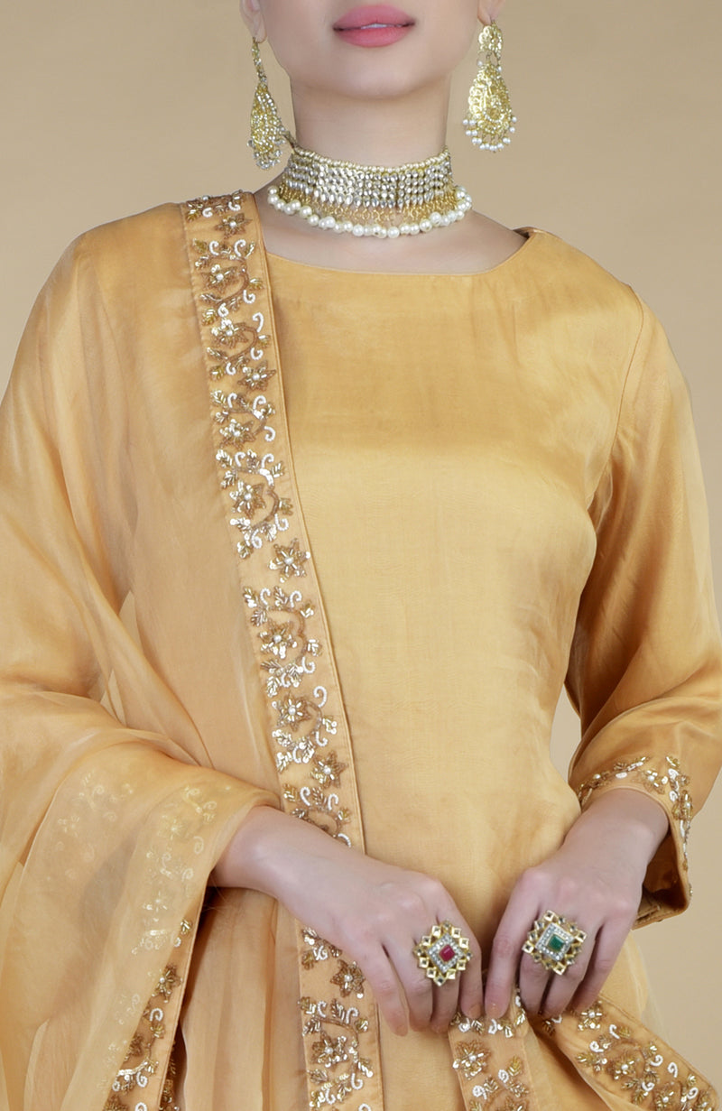 Gold Zardozi Hand Embroidered Sharara Set