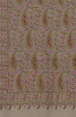 Toosh Colour Pure Pashmin Sozni and Papier Mache Jamawar Hand Embroidered Pure Pashmina Shawl