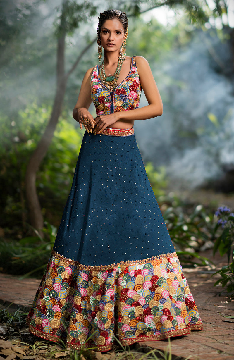 Navy Blue Multi Color Hand Embroidered Lehenga