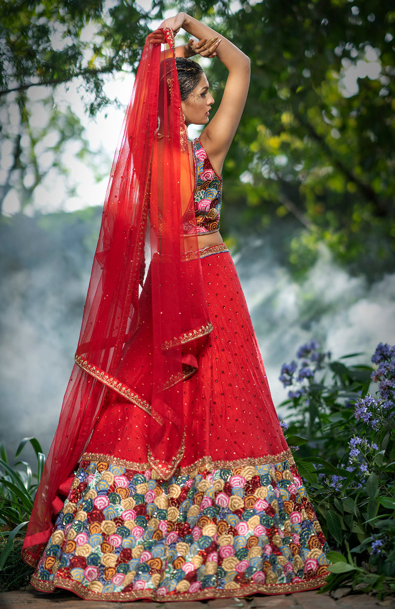 A Red Rose Multi Color Lehenga