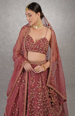 A Love Song Burgundy Wine Lehenga Set