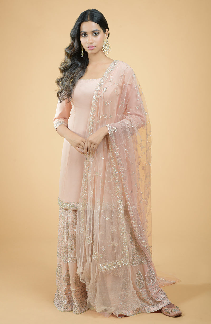 Nude Pink Chikankari & Zardozi Hand Embroidered Sharara Set