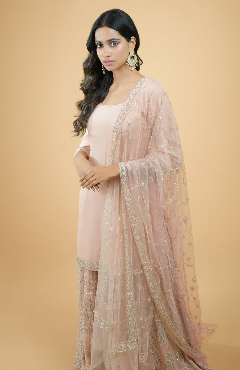 Nude Pink Chikankari & Zardozi Hand Embroidered Sharara Set