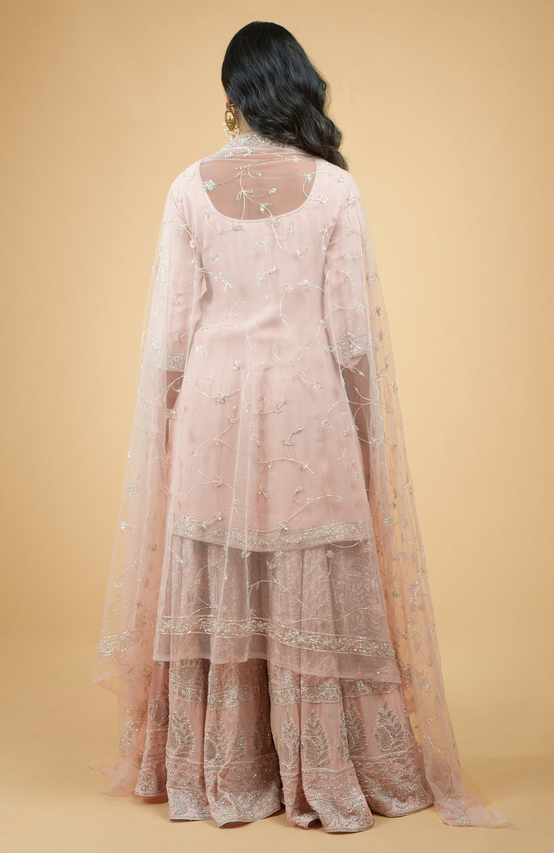 Nude Pink Chikankari & Zardozi Hand Embroidered Sharara Set
