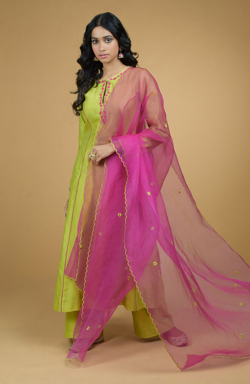 Lime Green & Magenta Organza Kurta Set