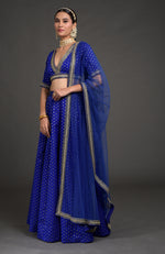 Royal Blue Benarasi Weave Zardozi Dupatta