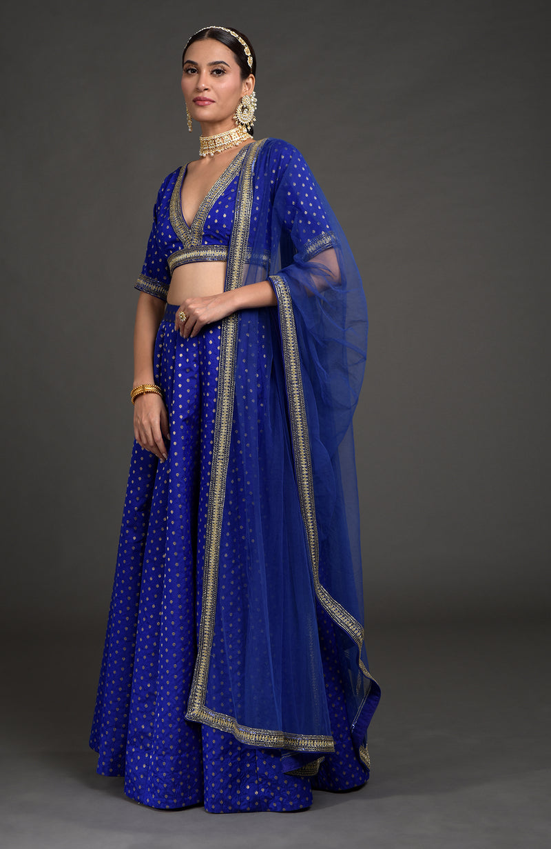 Royal Blue Benarasi Weave Zardozi Dupatta