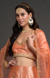 Orange Benarasi Weave Zardozi Embroidered Blouse