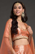 Orange Benarasi Weave Zardozi Embroidered Blouse