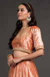 Orange Benarasi Weave Zardozi Embroidered Blouse