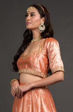 Orange Benarasi Weave Zardozi Embroidered Blouse