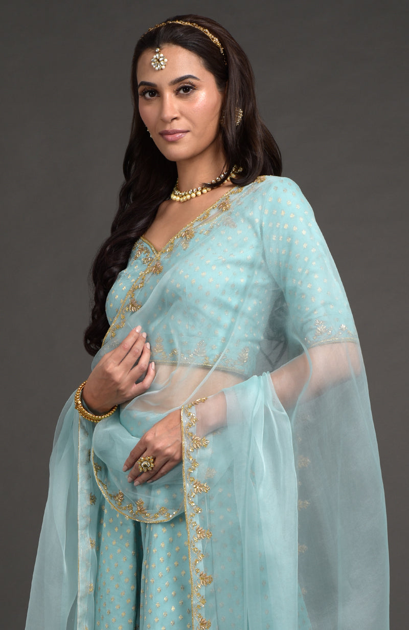 Aqua Haze Benarasi Weave Zardozi Embroidered Lehenga Set