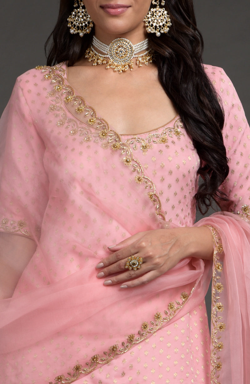Strawberry Pink Benarasi zardozi embroidered lehenga set