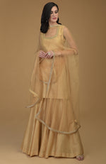 Nude Gold Zardozi Hand Embroidered Dupatta