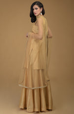 Nude Gold Zardozi Hand Embroidered Dupatta