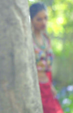 A Red Rose Multi Color Lehenga