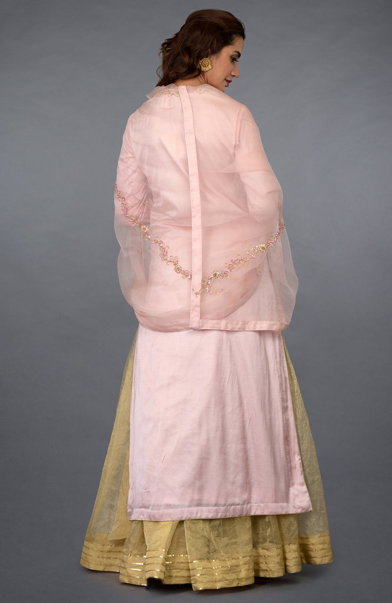 Nude Pink Beads & Sequin Hand Embroidered Sharara Suit