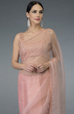 Pastel Peach Beads Hand Embroidered Saree & Blouse