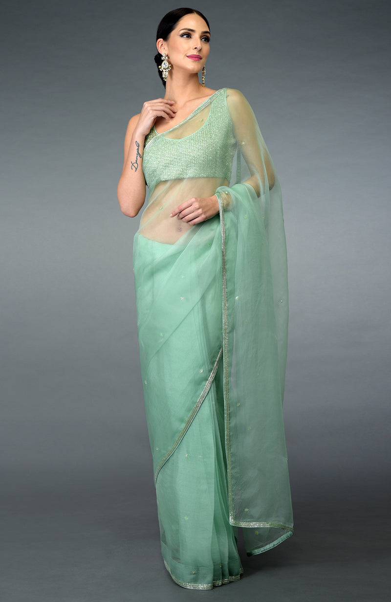 Mint Green Beads Hand Embroidered Saree & Blouse