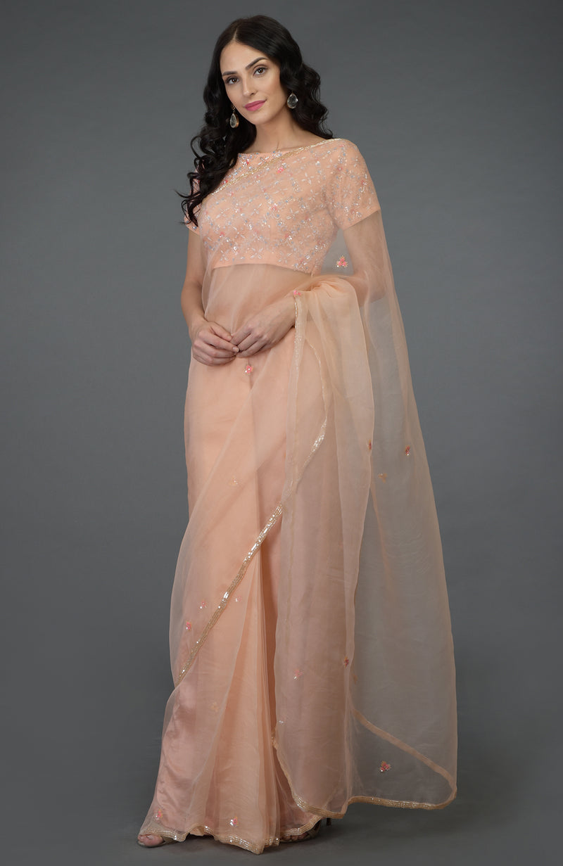 Peach Sequin Beads Hand Embroidered Saree & Blouse