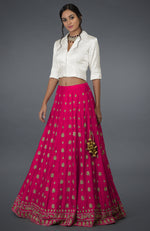 Berry Gloss Zardozi & Crystal Hand Embroidered Skirt