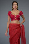 Royal Red Zardozi & Crystal Embroidered Saree & Blouse